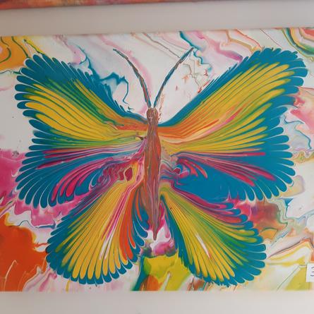 bunter Schmetterling  