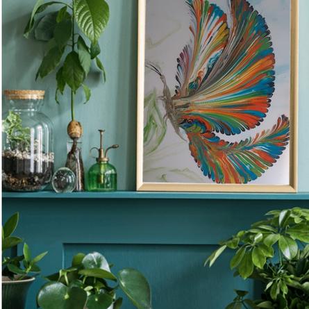 Magischer Schmetterling   - verkauft